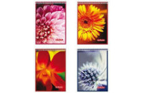 Skaidrės, užrašų knygelės