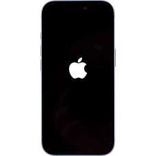 Apple iPhone 17 16 cm (6,3 colio) dviejų SIM kortelių iOS 26 5G USB Type-C 256 GB Mėlynas